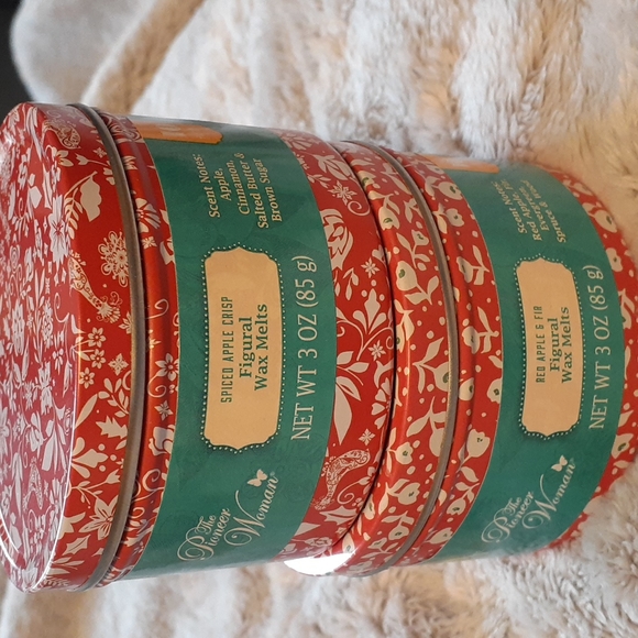 NWT The Pioneer Woman Figural Wax Melts - Red Apple & Fir and Spiced Apple Crisp - Picture 2 of 3